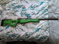 PXL_20251117_110500668