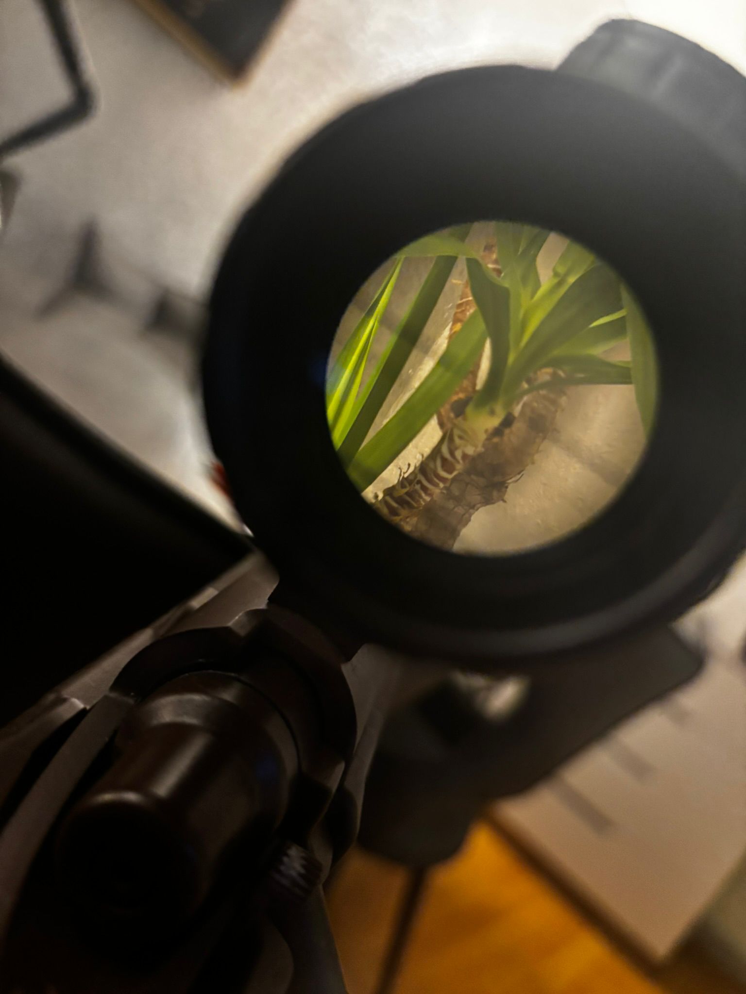 WhatsApp Image 2026-03-02 at 12.56.33 (2)