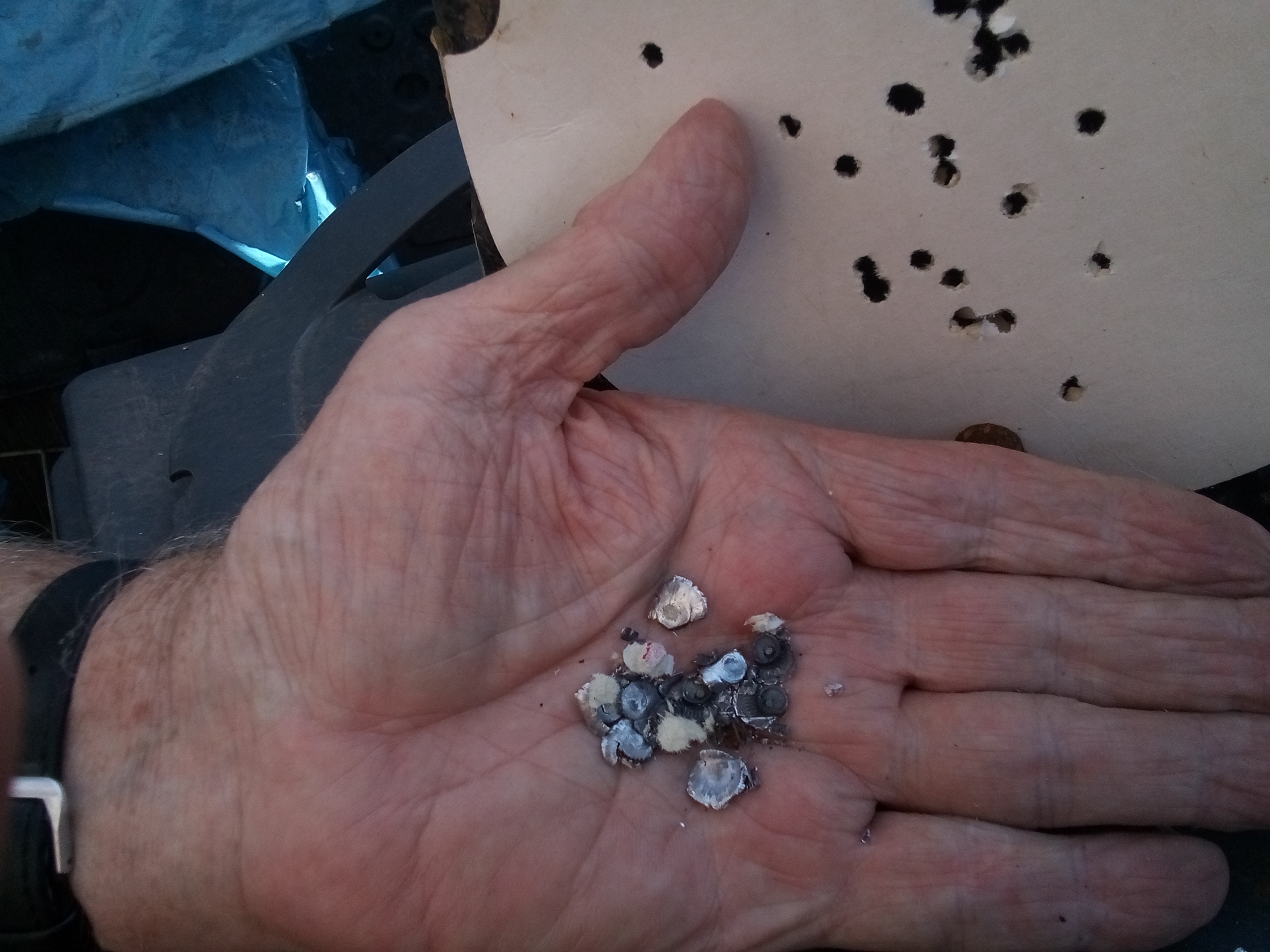 IMG_20250813_153733_475