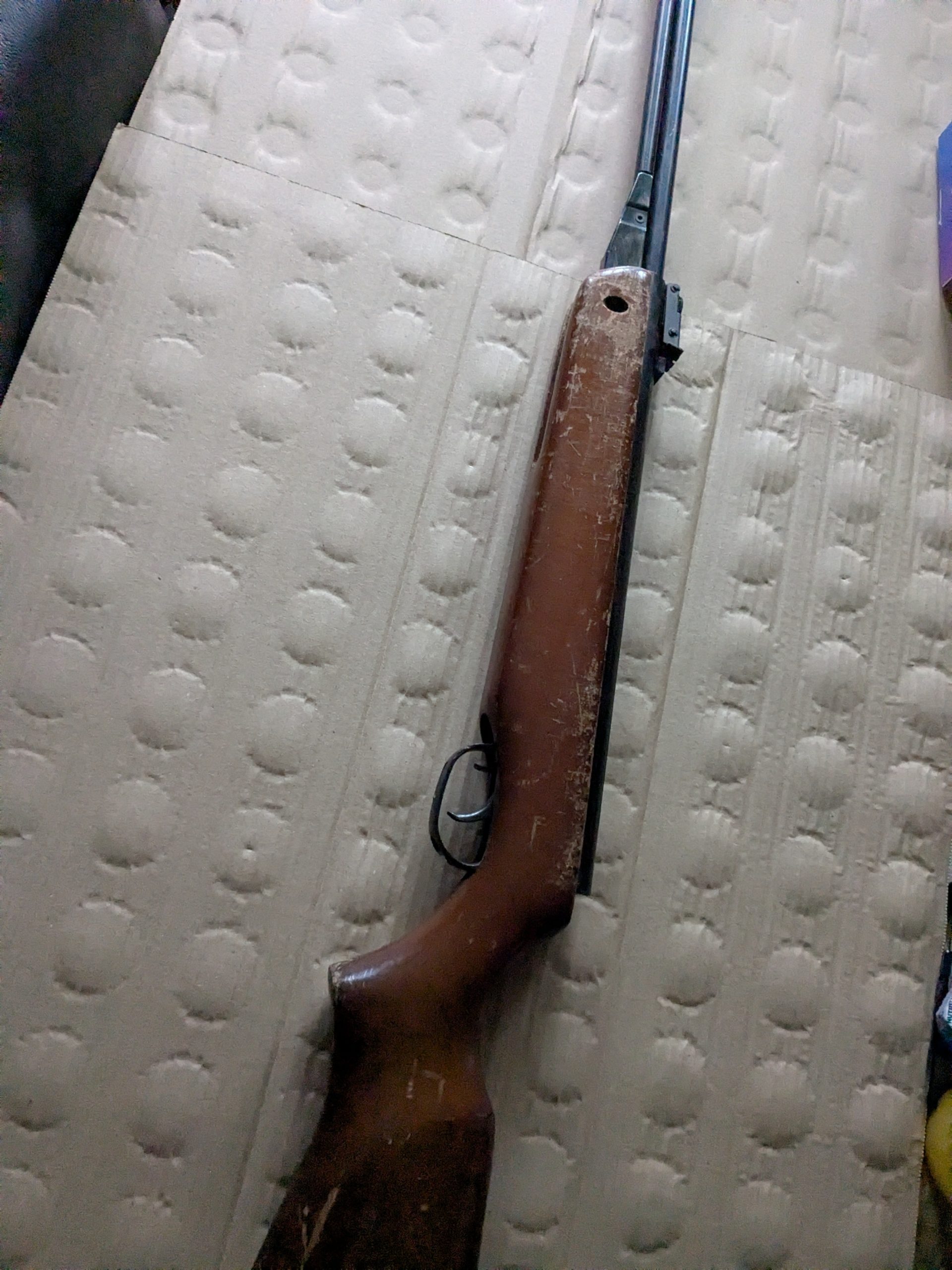 PXL_20260221_152924161