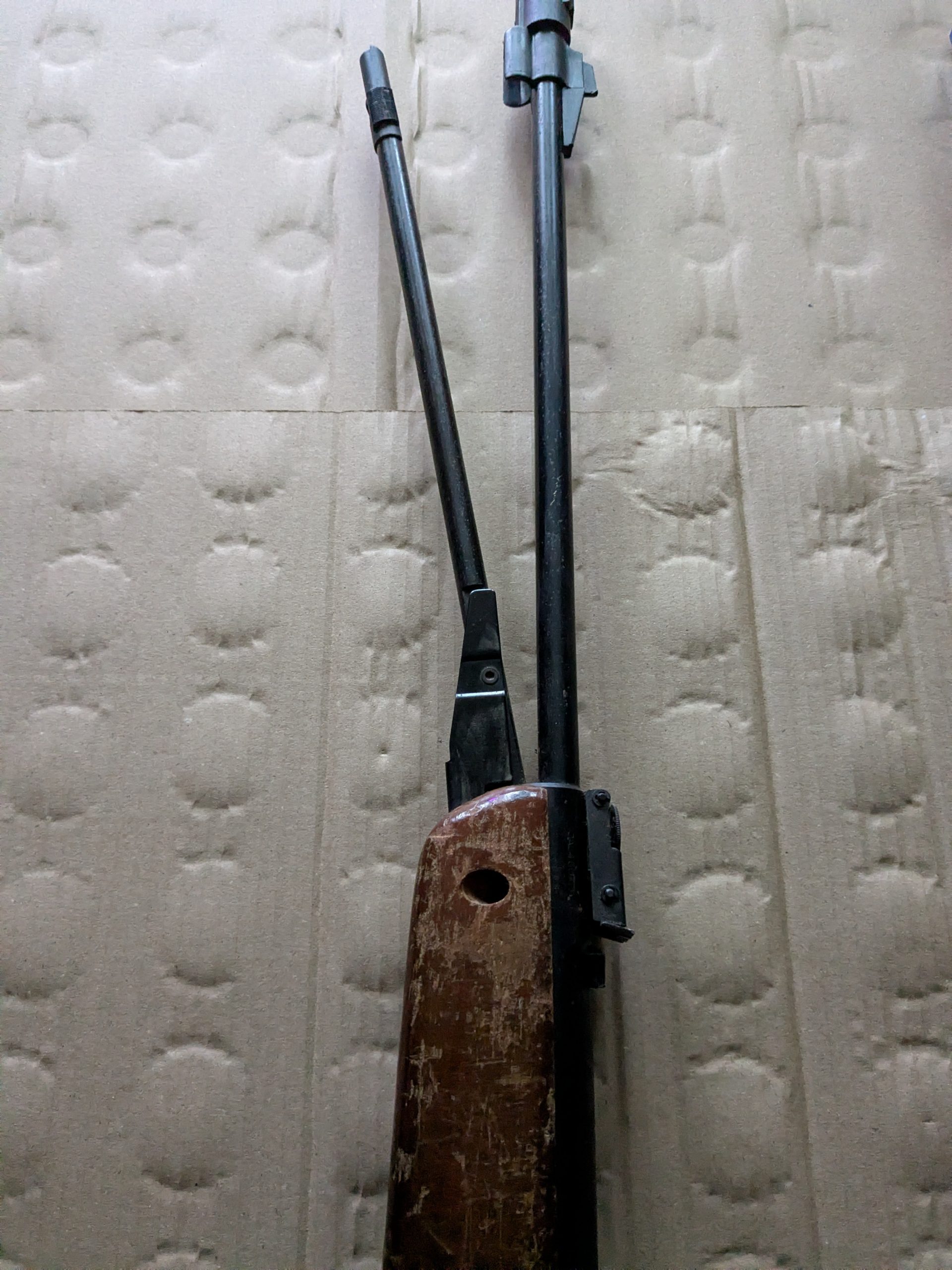 PXL_20260221_152958578