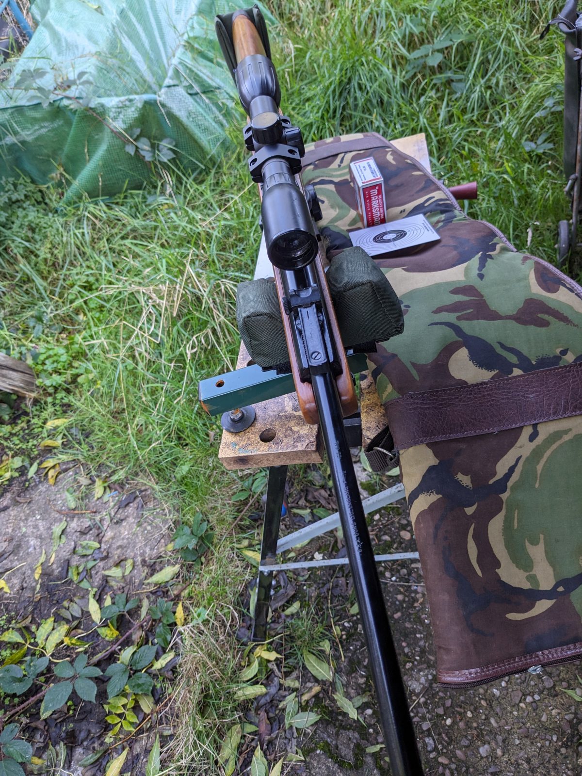 PXL_20231015_120002752