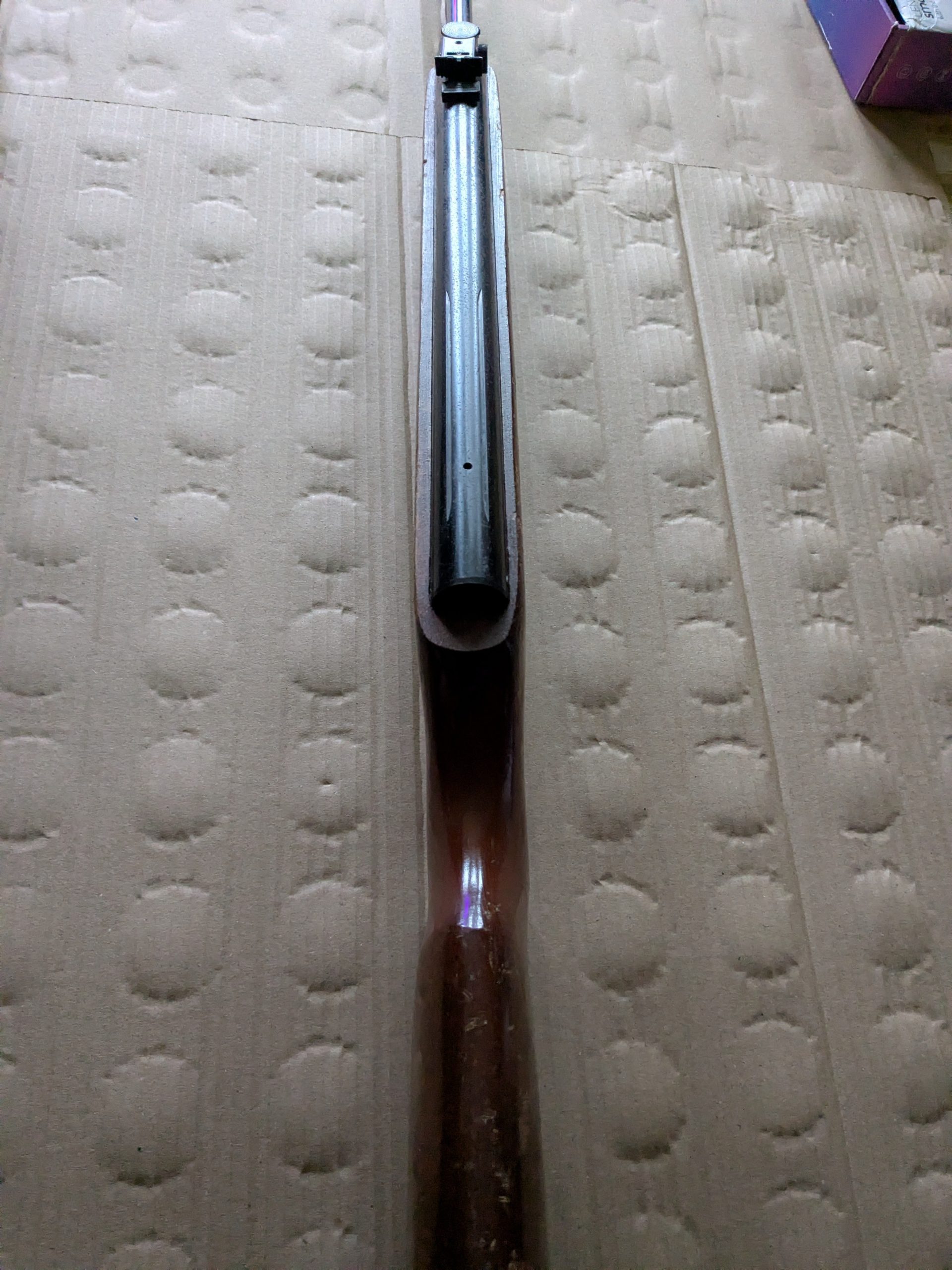 PXL_20260221_152919249