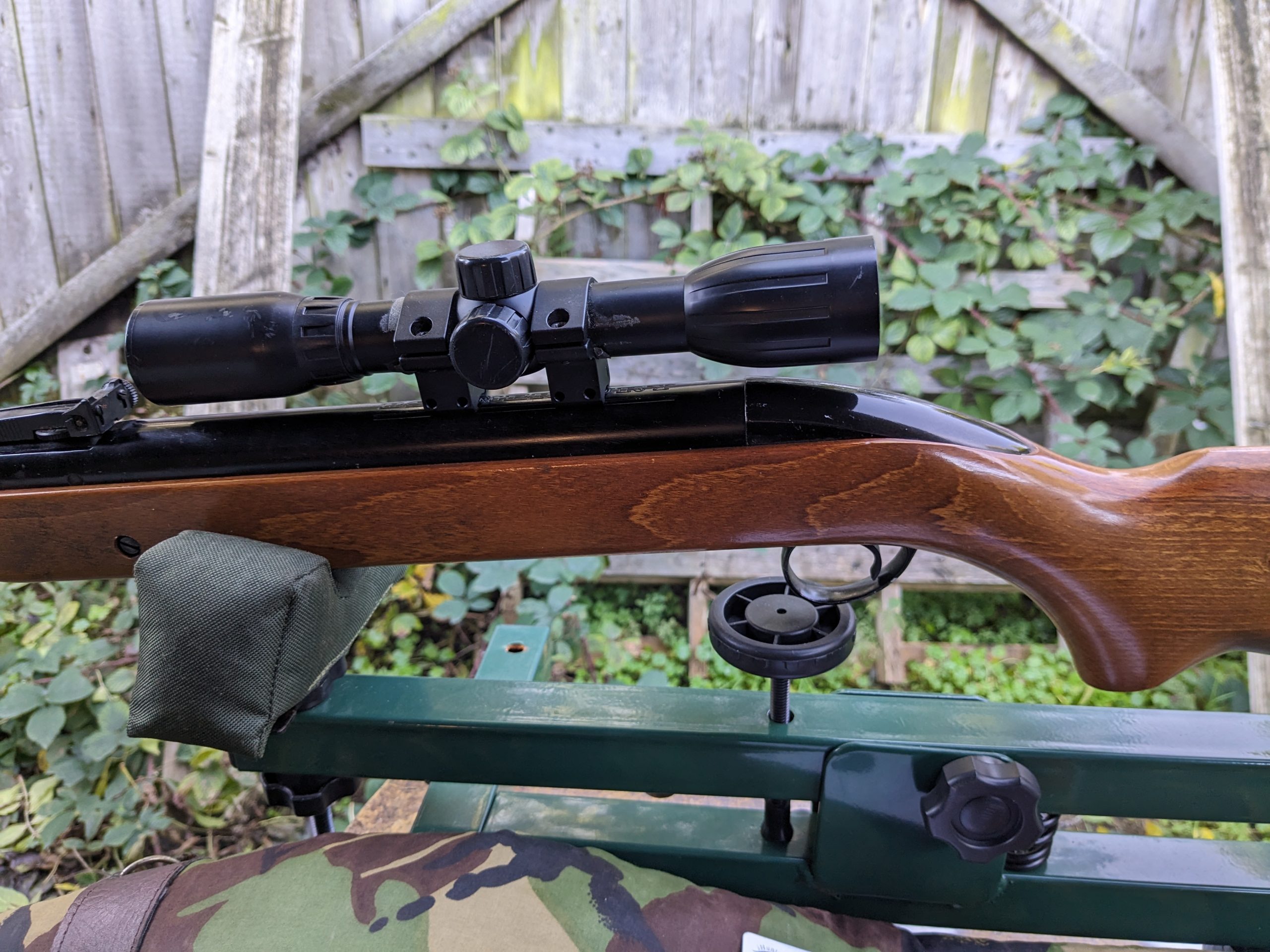 PXL_20231015_115953000