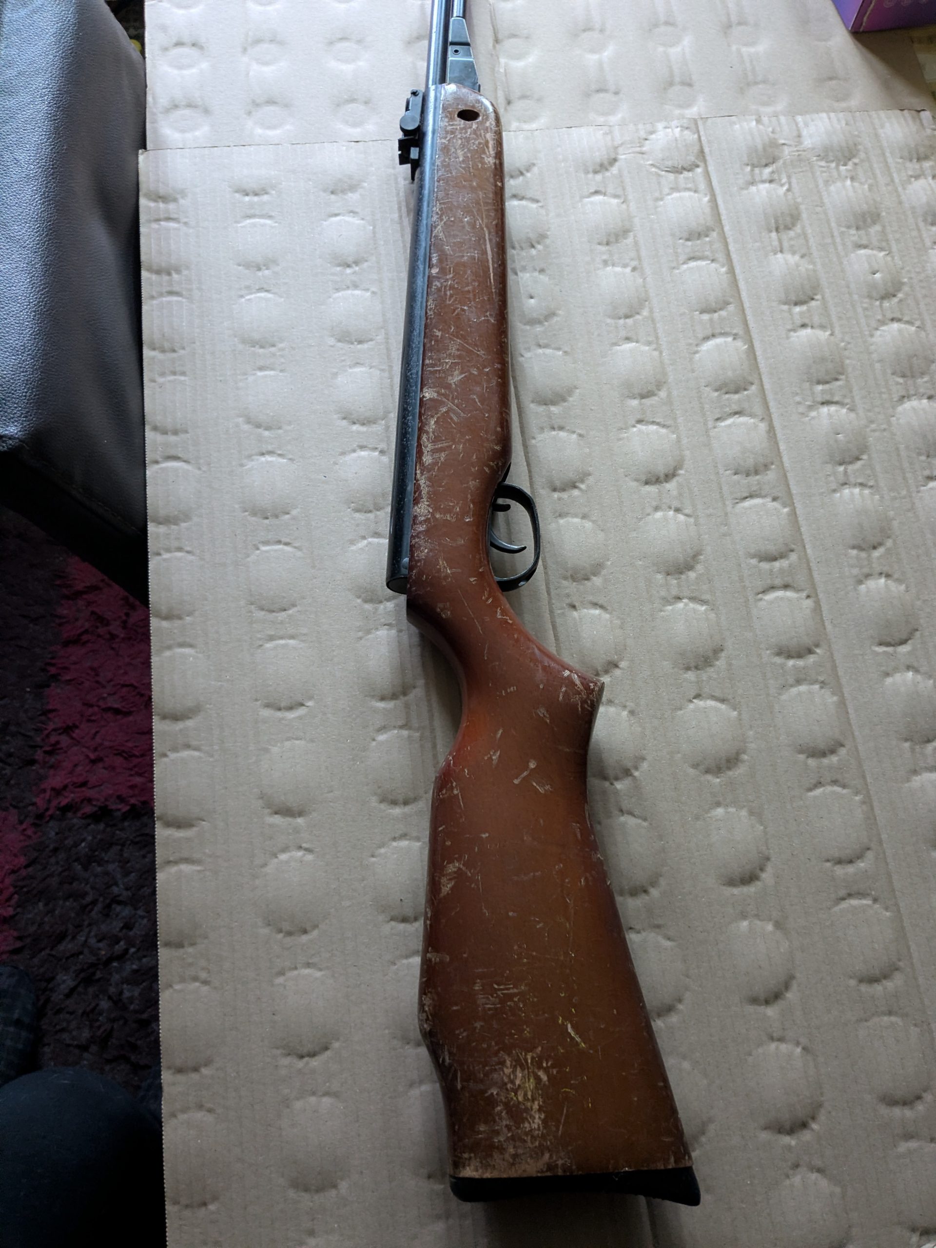 PXL_20260221_152846531.NIGHT