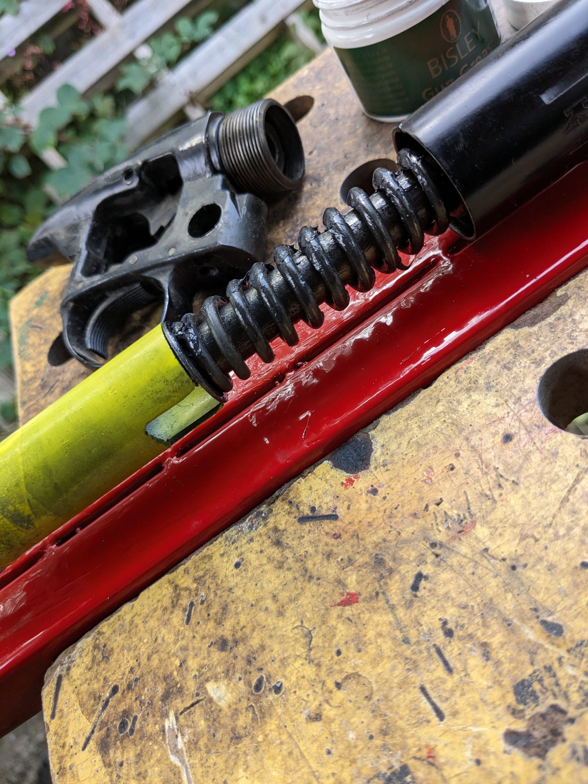 PXL_20231007_131929550