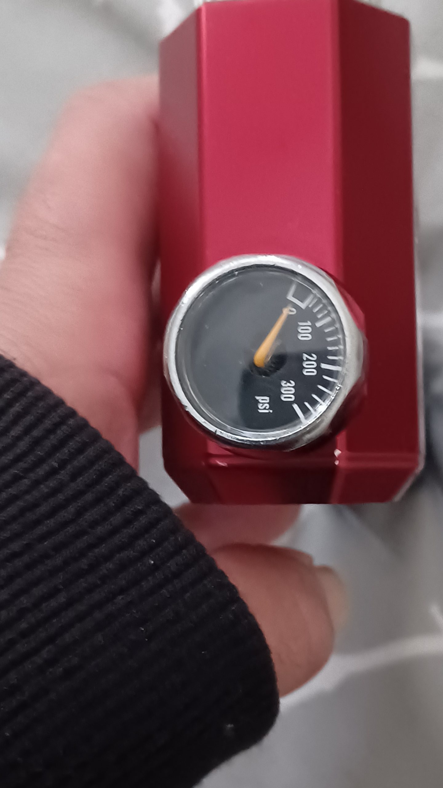1000036668